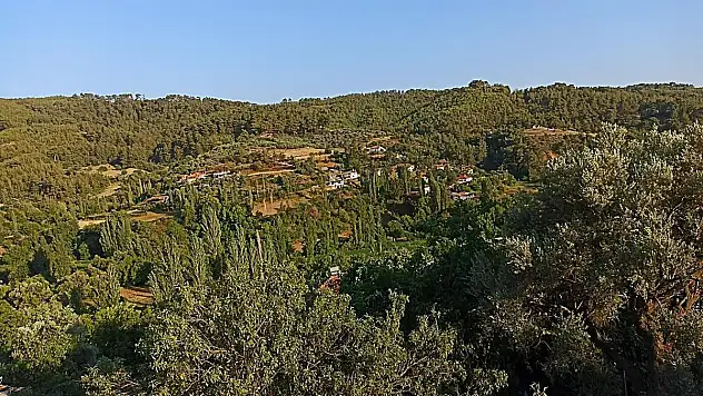 Çimento Fabrikasına Açılan Temyiz Davasından Olumlu Karar Çıktı
