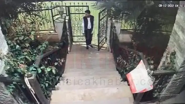 Cins Köpek Hırsızları Polis Tarafından Yakalandı