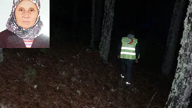 Çıntar Mantarı Toplamaya Giden Yaşlı Kadın Dağda Kayboldu