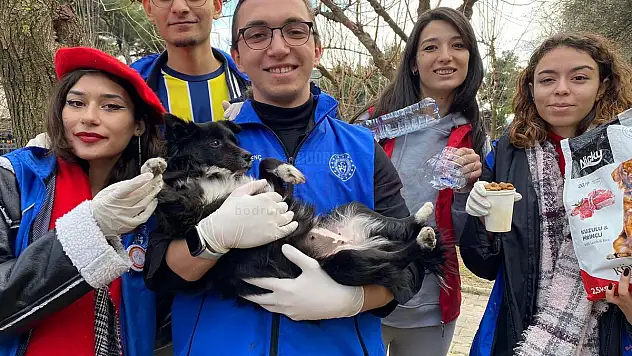 Çocuklardan Sokak Hayvanlarına Karşı Duyarlı Davranış