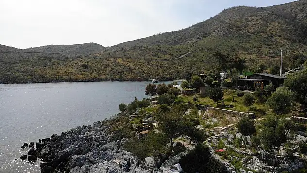 Çökertme Koyu Küllerinden Yeşeriyor