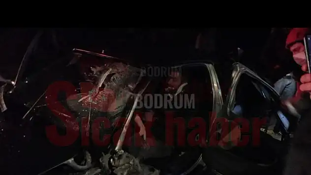 Dakikalarca kaza yaptığı Aracın İçinden Çıkarılmayı  Bekledi