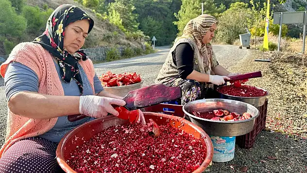 Daldan Sofraya Ekşi Yolculuk