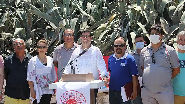 Datça'da 20 bin levrek yavrusu denize bırakıldı