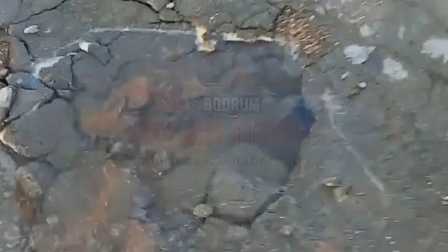 Demagoji Müdürü Bu Patlaklar Ne Olacak?