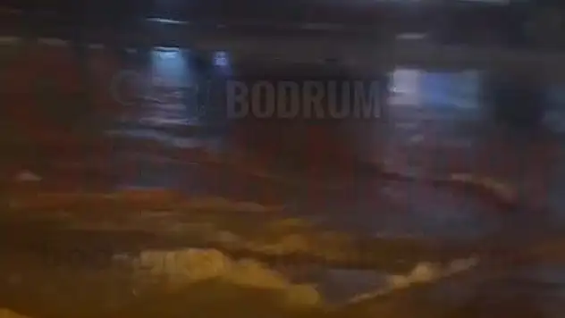 Demagoji Yapma, Müdür İşini Yap!