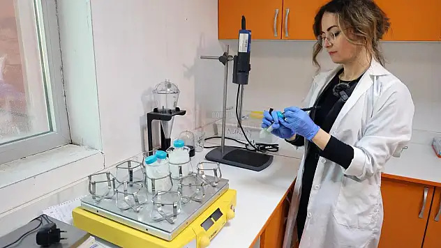 Denizanaları Kanser için Umut Oldu