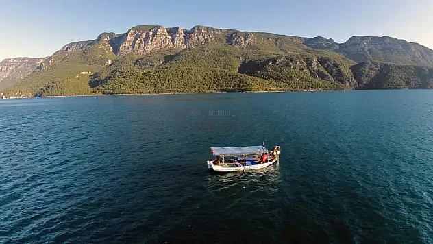 Denizde Bulduğu Poşetin Patlaması Sonucu Kolu Koptu