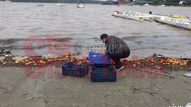 Denizden Kasa Kasa Mandalina Topladılar