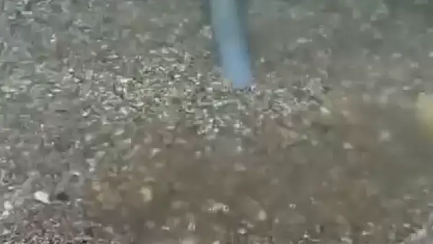 Denize Atık Suyu Boşaltıp Kirletiyorlar