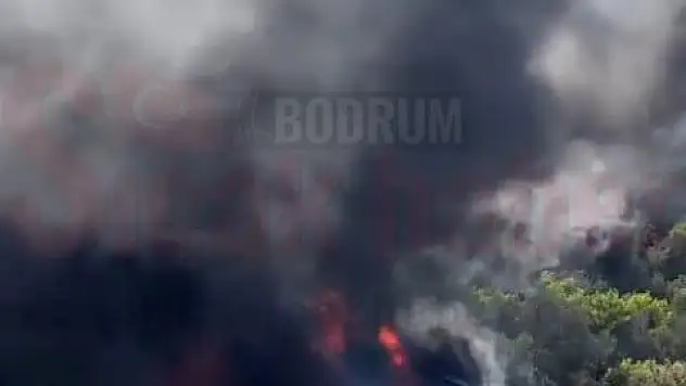 Depo Yangınını Görüntüleyen Gazetecilere Silahlı Tehdit