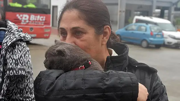 Depremzede Aile 28 Gün Sonra Kedisine Kavuştu