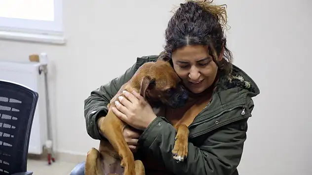 DEPREMZEDE AİLE İLE  DEPREMZEDE KÖPEĞİN BULUŞMA ANI