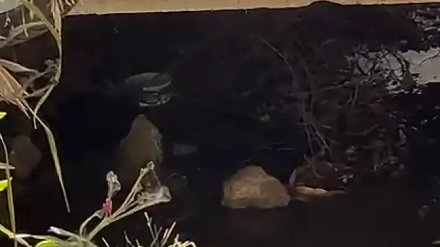 Derelere Bırakılan Atık Sular Çevredekileri Mağdur Ediyor