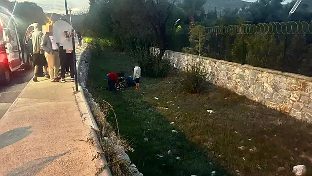 Dereye uçarak yaralandı