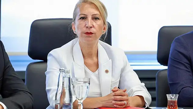 Derici: İktidar, Bodrum'da Turizmi Bitirmeye Yeminli!