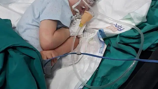 Deve güreşlerinin geliri SMA hastası çocuklara şifa olacak