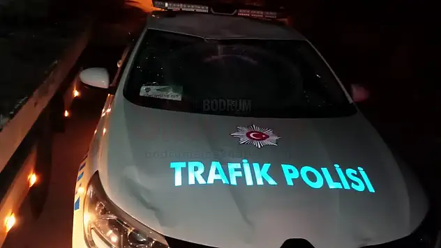 Deve, Polis Otosunun Üstüne Çıktı