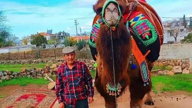 Deveci İlhan Dalka hayatını kaybetti