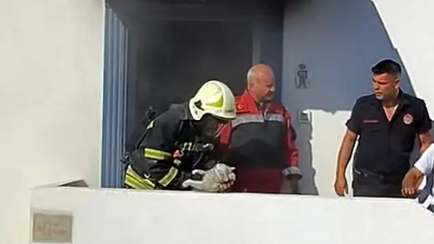 Devre mülkte yangın ! 3 kediden biri telef oldu ! aile isyan etti