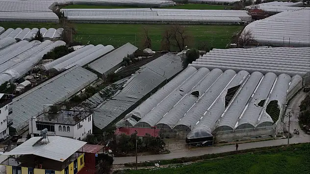 Doğa felaketi seraları yerle bir etti 100 dönüm zarar