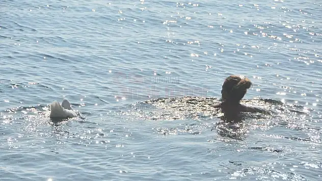 Doğuda Kış, Bodrum'da Deniz Keyfi