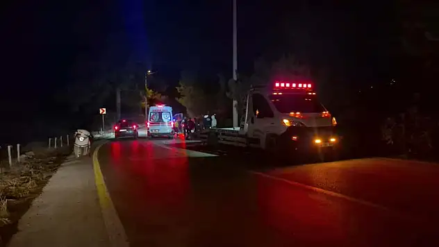 Domuza çarpan sürücü yaralandı