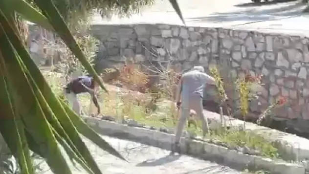 Dostlar İş Başında Görsün Temizliği