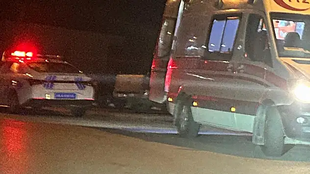 Tüm müdahalelere rağmen kurtarılamadı,