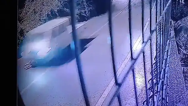 Duyarsız Sürücü Yolda Yatan Köpeğe Çarpıp Öldürdü