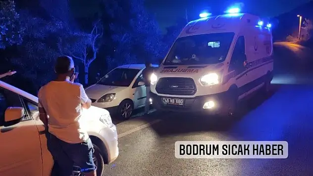 Eğlence Kavgayla Bitti