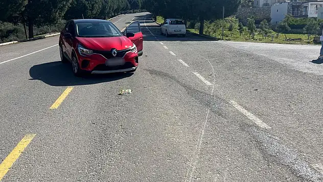 Ehliyetsiz Sürücü Kazaya Neden Oldu