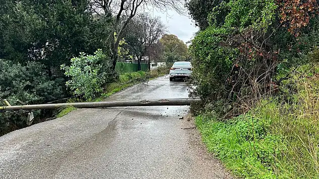 Elektrik Direğine Çarparak Durabildi
