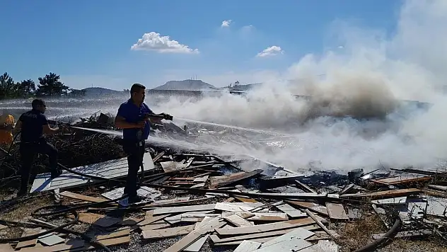 Erken Müdahale Büyümesini Önledi