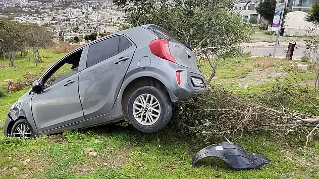 Eskiçeşme'de korkutan kaza: Otomobil ağacı devirerek durdu