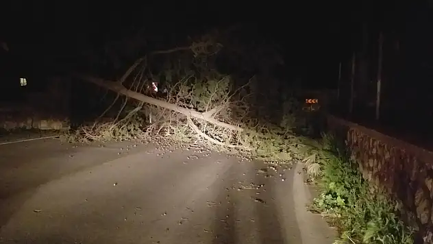 Etkili olan fırtına hayatı olumsuz etkiledi