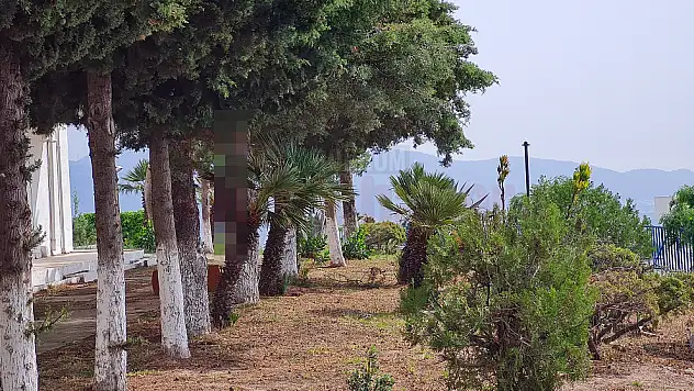 Evinde Kendini Asarak İntihar Etti