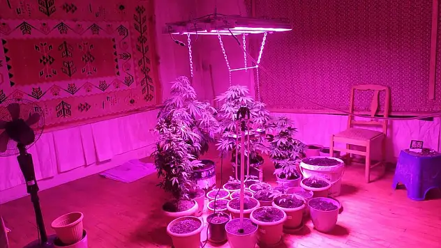 Evine Kurduğu Düzenekle Uyuşturucu Yetiştiren Zanlı Tutuklandı