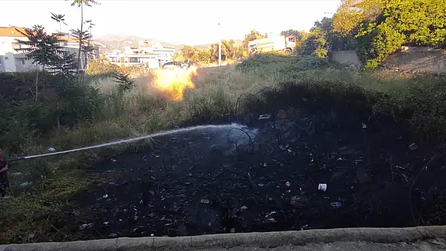 Evlerin arasındaki otluk alanda çıkan yangın söndürüldü