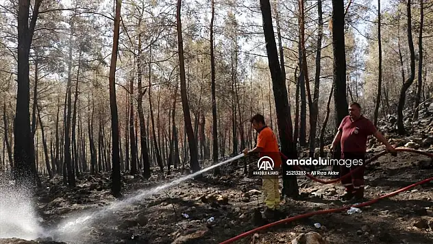 Fethiye ilçesindeki orman yangını kontrol altına alındı