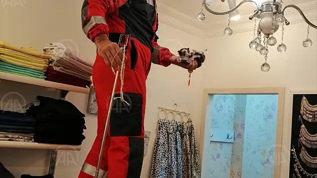 Fethiye'de iş yerinin tavanında mahsur kalan kedi yavrusu kurtarıldı