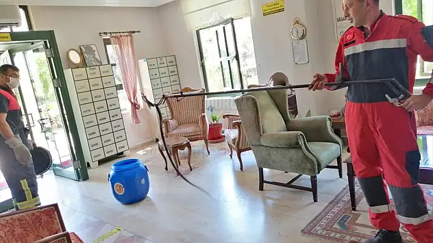Fethiye'de otele, Bodrum'da eve giren yılanlar itfaiye ekiplerince yakalanarak doğaya salındı