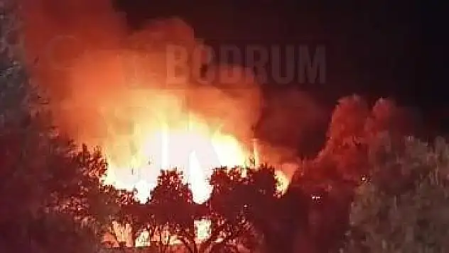 Fırın Alevlere Teslim Oldu