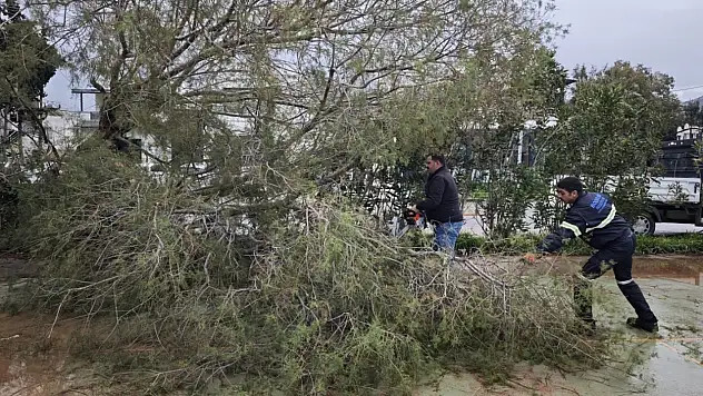 Fırtınaya karşı sahada alarm