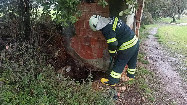 Foseptik çukuruna düşen ineği itfaiye çıkardı...