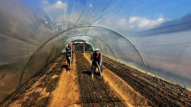 Fotoğraflarla 'Muğla'yı Keşfet' Kazananları Belli Oldu