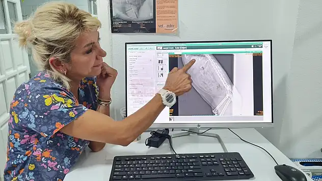 Futzi'nin Tüfekle Vurulduğu Röntgende Anlaşıldı