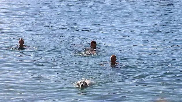 Gece Kabusu Yaşadılar, Sabah Denize Girdiler