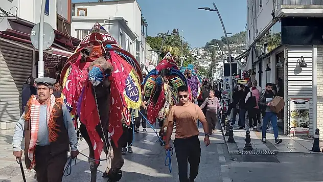 Geleneksel Deve Festivaline Hazırlanıyorlar