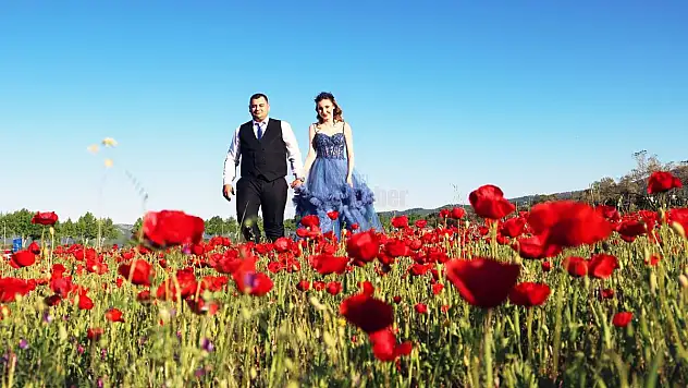 Gelinler, 'Gelincik' Tarlasına Akın Etti